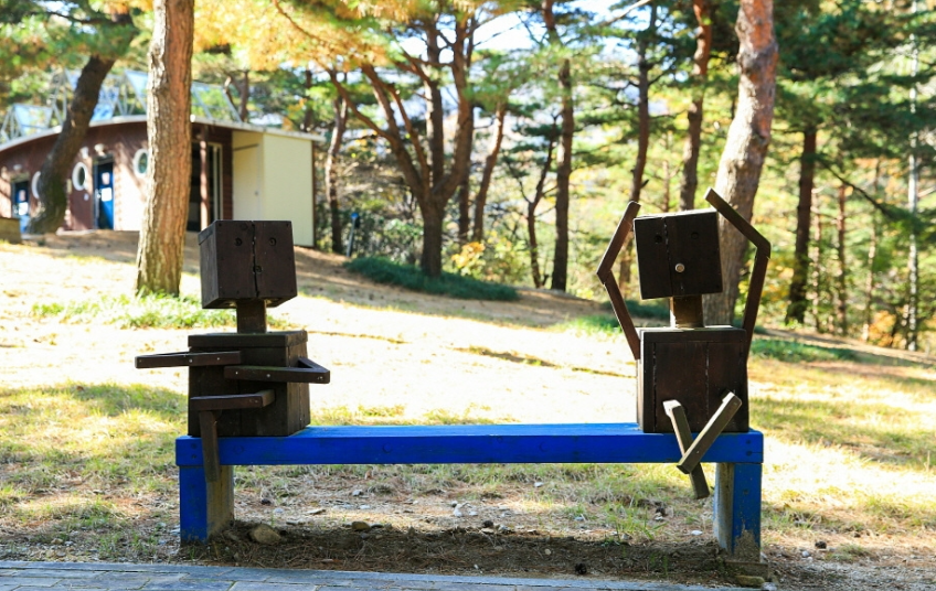 강릉솔향수목원