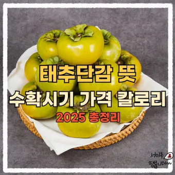 태추단감 이란 아직도 그냥 단감이라고 생각하세요 feat 일반 단감과 완벽 비교 분석으로_5