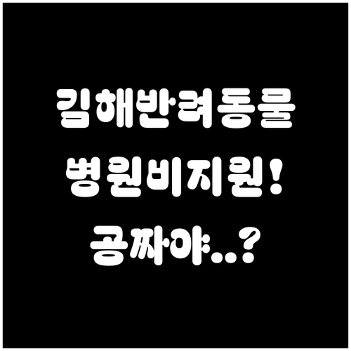 김해시 관내 동물병원에서만 가능한 반..