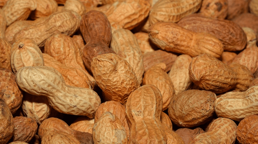 비타민E가 많은 음식 땅콩이 쌓여 있다