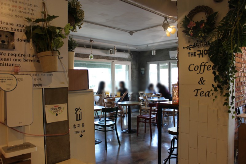 애견 카페 크고 괜찮은 곳1