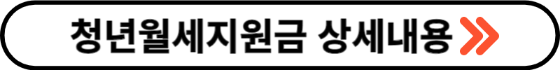 청년월세지원금