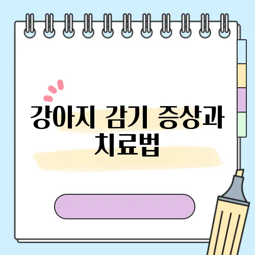 강아지 감기 증상과 치료법, 예방도 중요해요