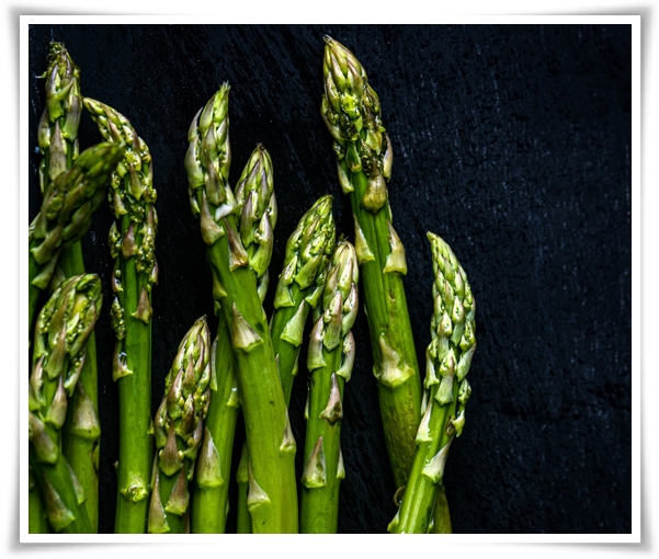 텃밭 &quot;아스파라거스 기르기&quot; 한 번 심으면 10년 동안 거두는 황금 채소!