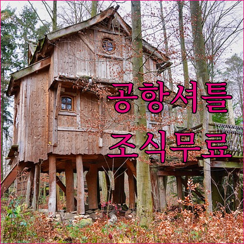 무료 조식과 공항 셔틀 제공되는 시러..