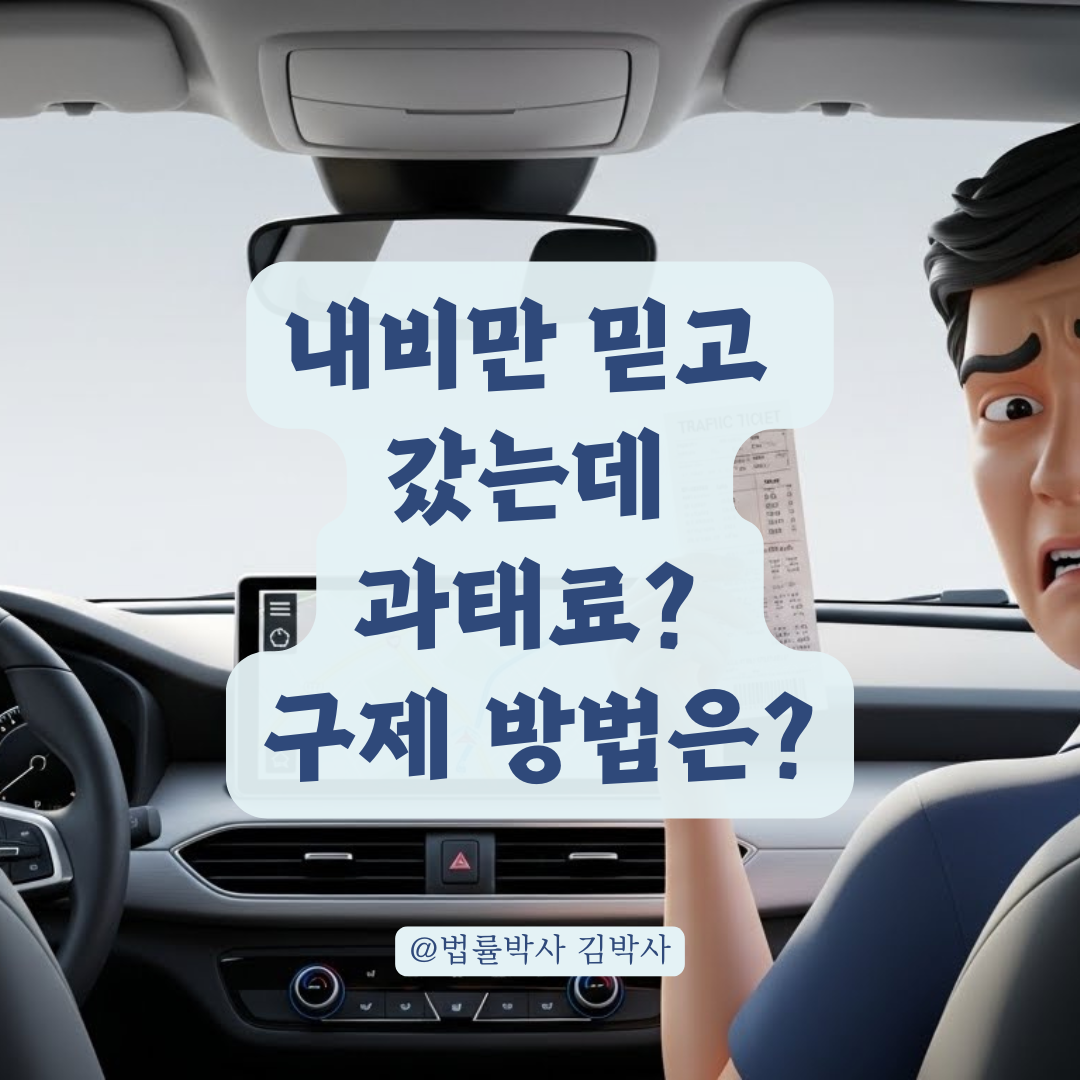 내비게이션 안내로 통행 제한 구역 진입 시 구제 가능성은?