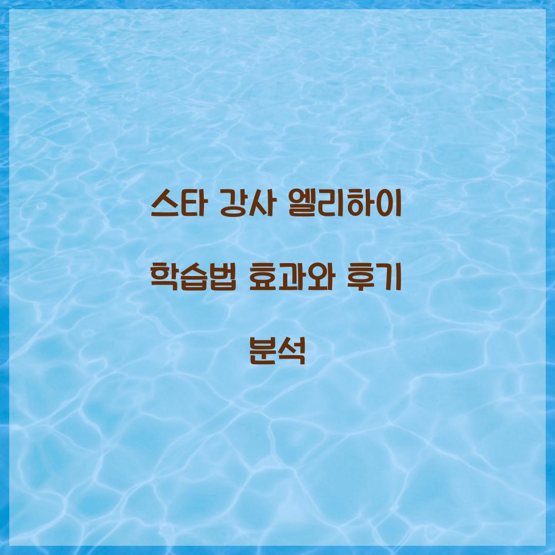 스타 강사 엘리하이 학습법