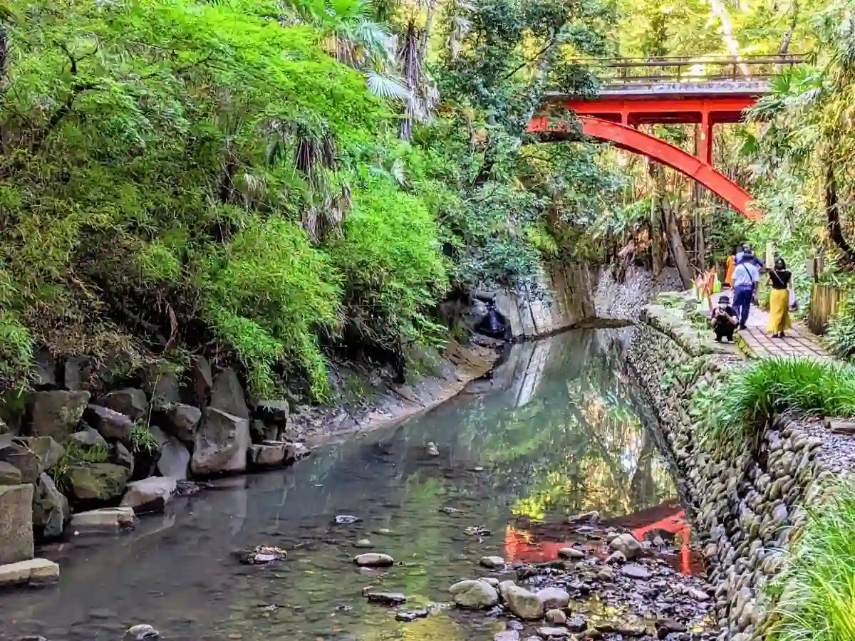 토도로키 계곡 공원 / 토도로