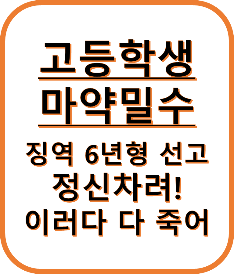 고등학생 케타민 밀수