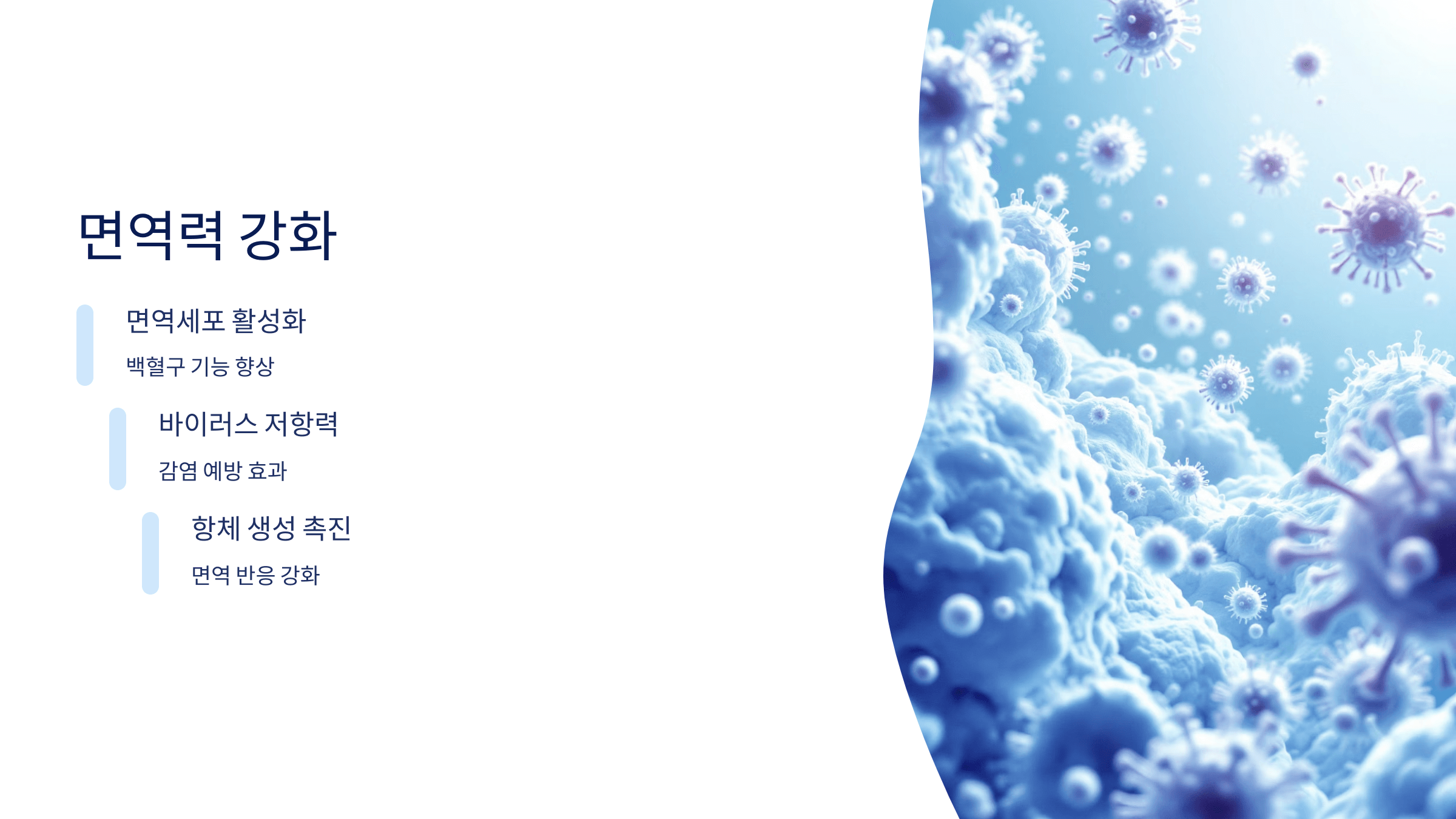 파비플로라 사진입니다.