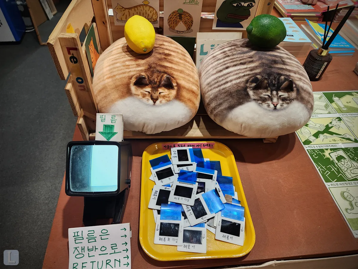 대구-동구-독립서점-심플책방-내부-고양이-인형