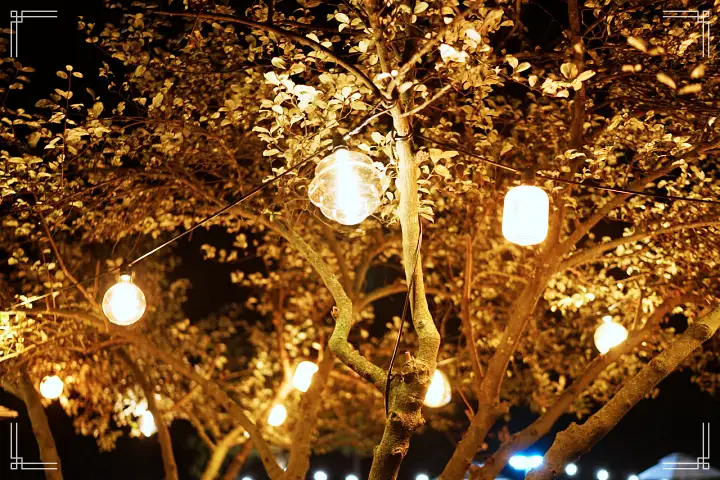 생생정보 커피 & 디저트 맛집