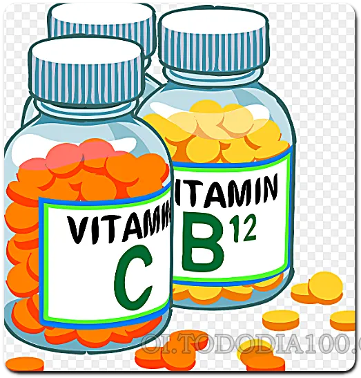 양배추의 효능 비타민 