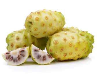 노니 효능 및 영양성분&amp;#44; 부작용과 주의점