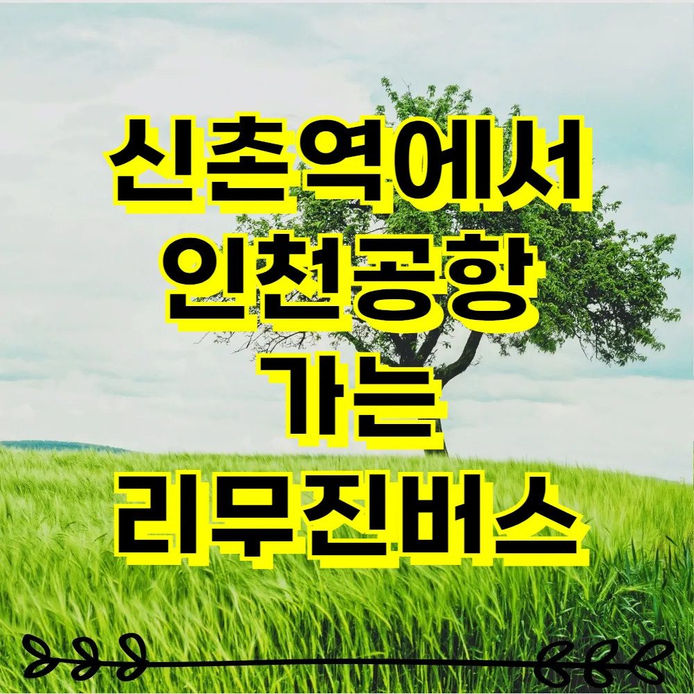 신촌역에서 인천공항 가는 리무진버스