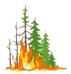 숲속의-나무가-발화가-시작되어-일부는-잿더미가되고-일부는-아직-푸르름이-남아있는-나무-일러스트