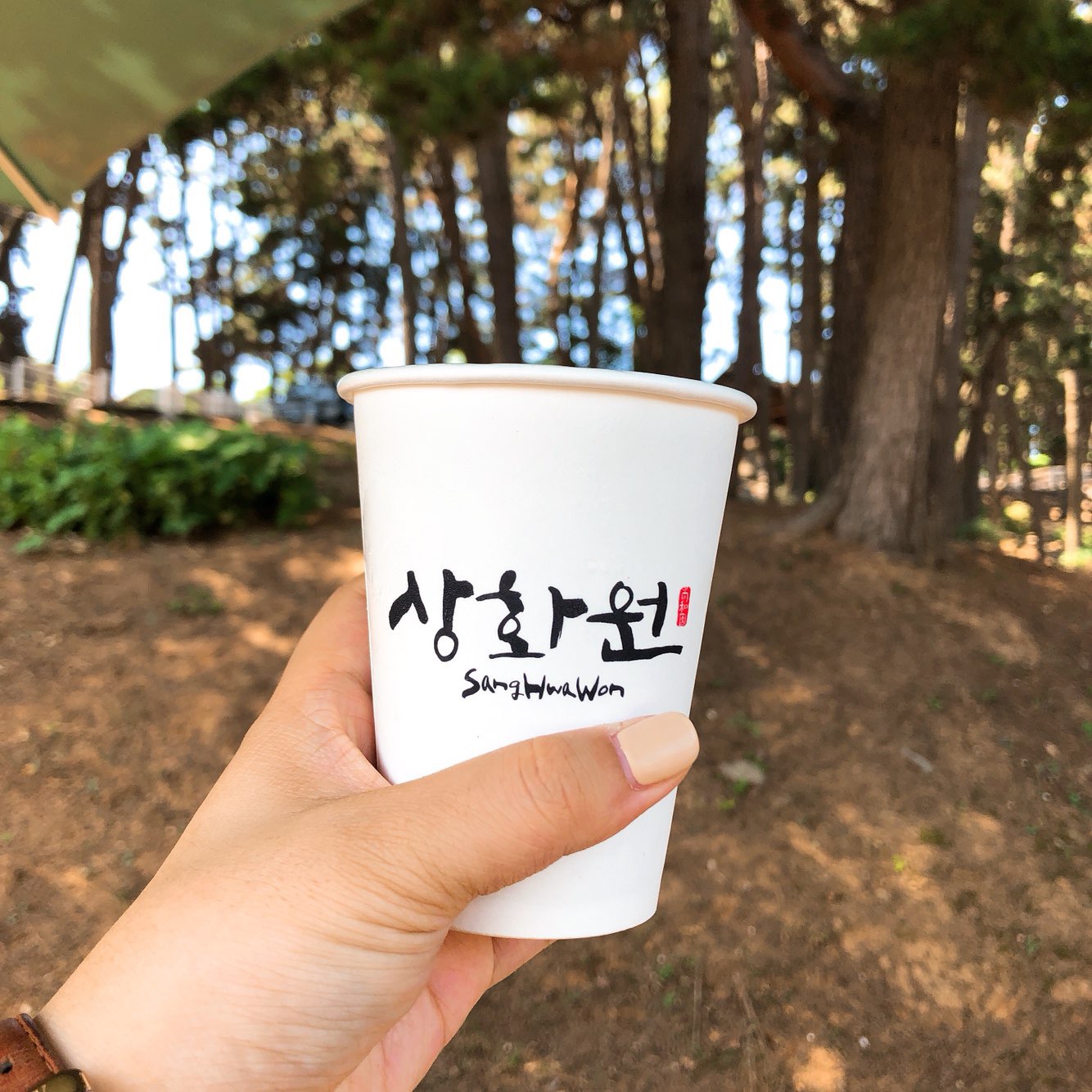 상회원 웰컴티