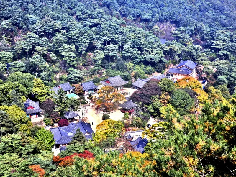 전등사