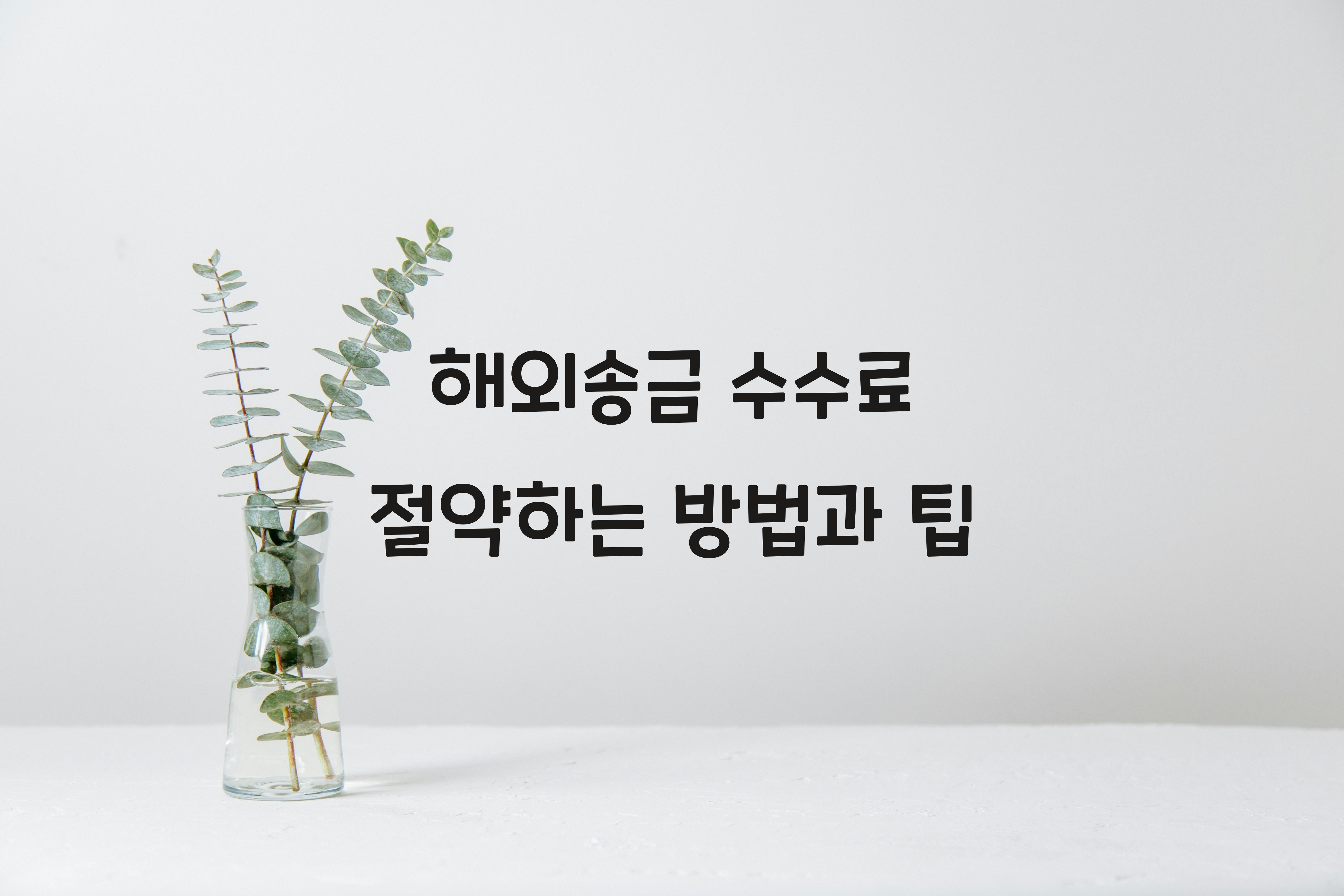 해외송금 수수료