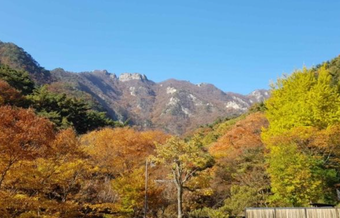 2025 충청도 단풍 명산 코스 추천 ❘ 월악산·계룡산·속리산 절정 시기