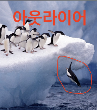 아웃라이어