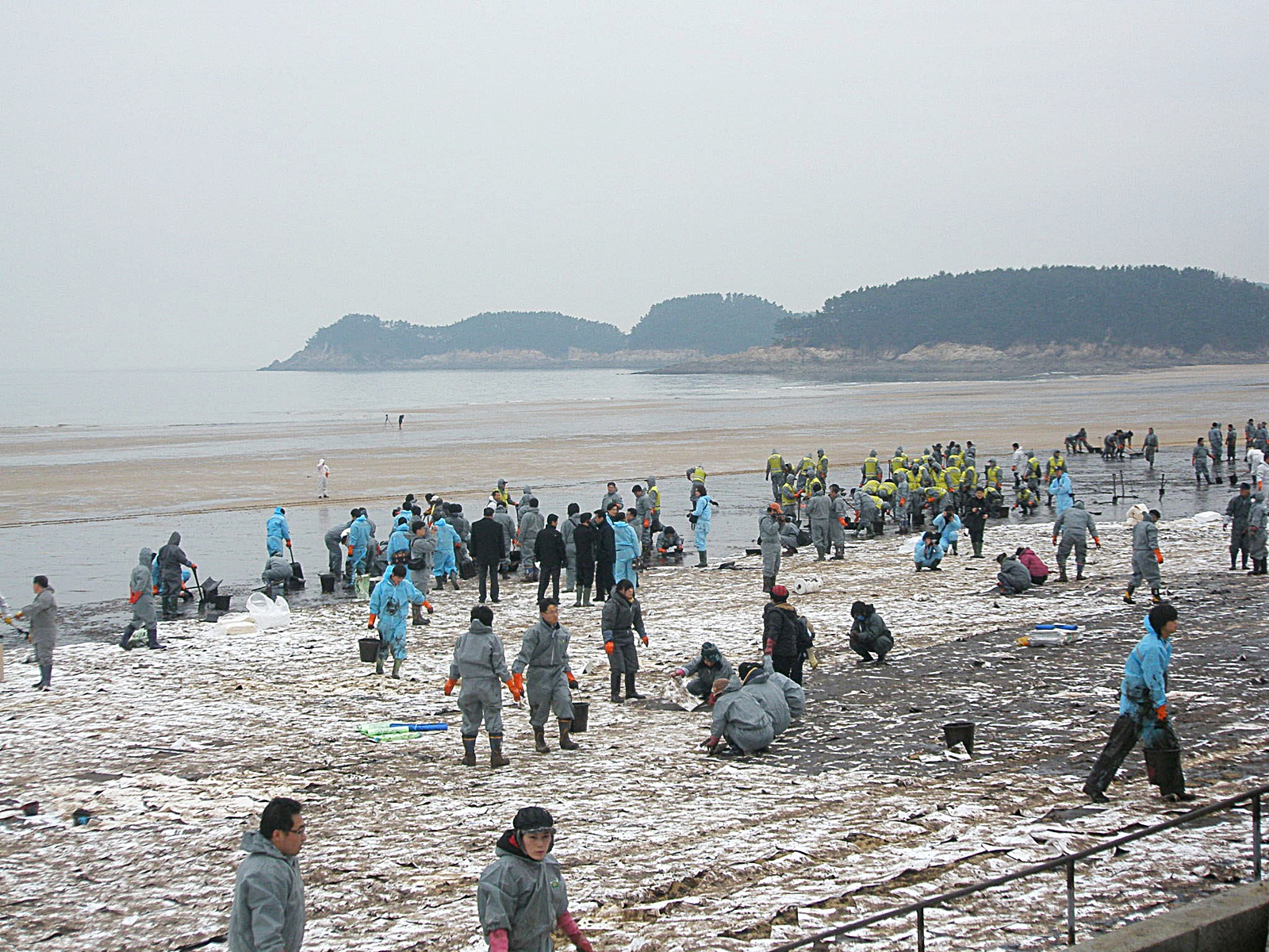 태안 기름유출 자원봉사