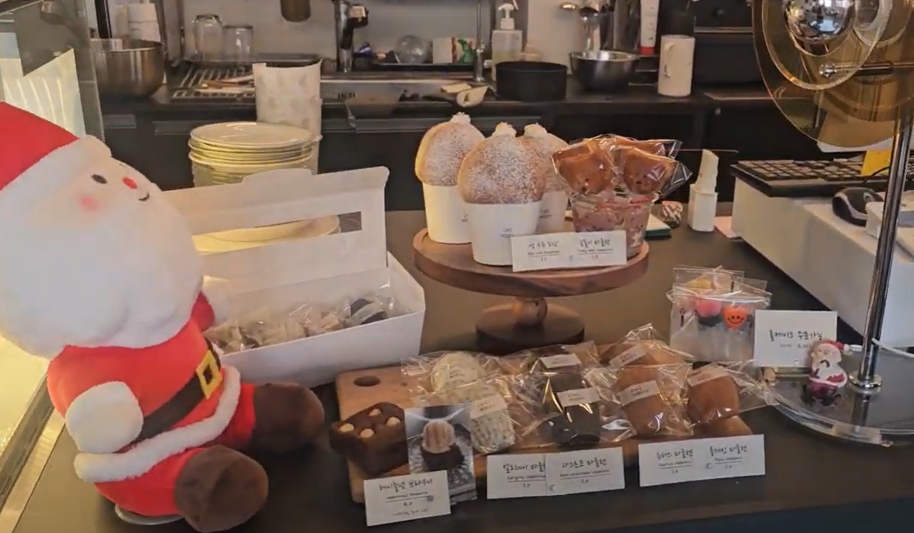 반려견 동반 가능 카페 &lsquo;모디피(modify)&rsquo;