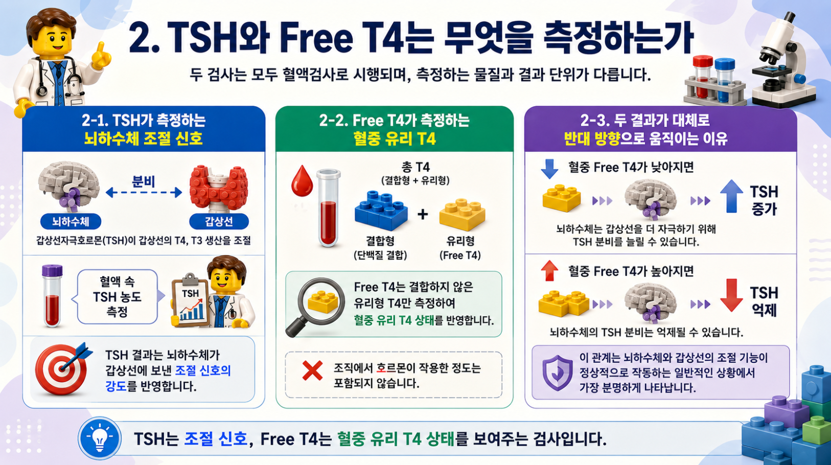 TSH와 Free T4가 측정하는 대상과 조절 관계를 설명하는 레고 스타일 갑상선 검사 인포그래픽