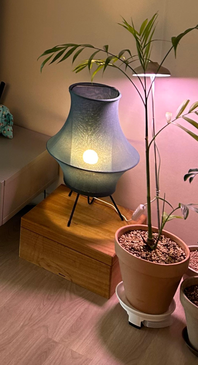 타이머 내장형 식물등