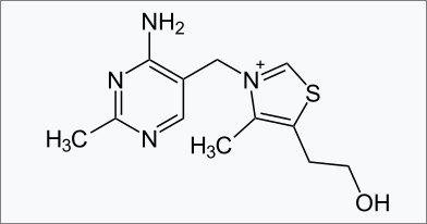 티아민의 화학구조