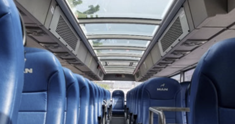 서울 시티투어버스 타이거 예약방법 가격 남산 노선 단풍 야경 꿀팁