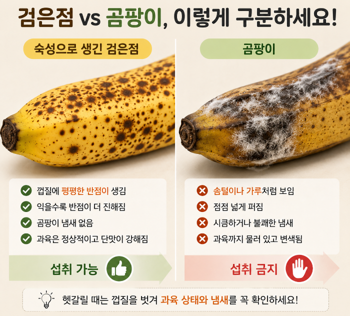 바나나 검은점과 곰팡이의 차이를 비교해 숙성으로 생긴 검은 반점과 버려야 하는 바나나 상태를 보여주는 이미지