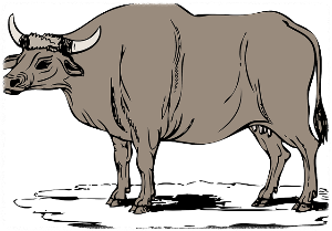 10월 띠별 운세 이달의 운세 월간운세 별자리운세