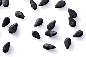 검은깨의효능5