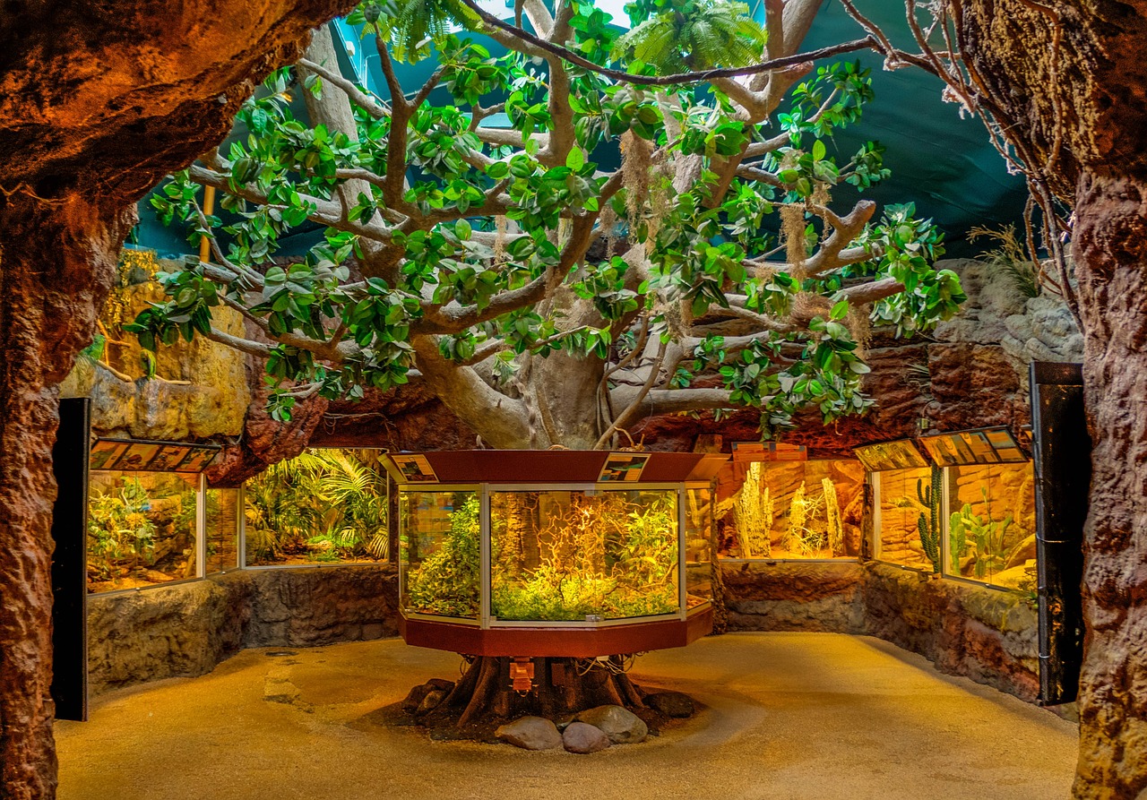 어항 인테리어 관련 사진