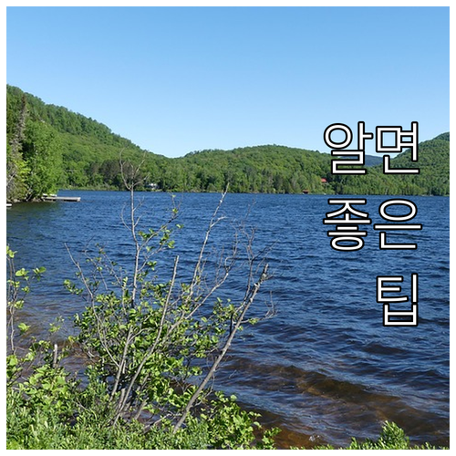 2025 아산시 난임부부 엽산 영양제..