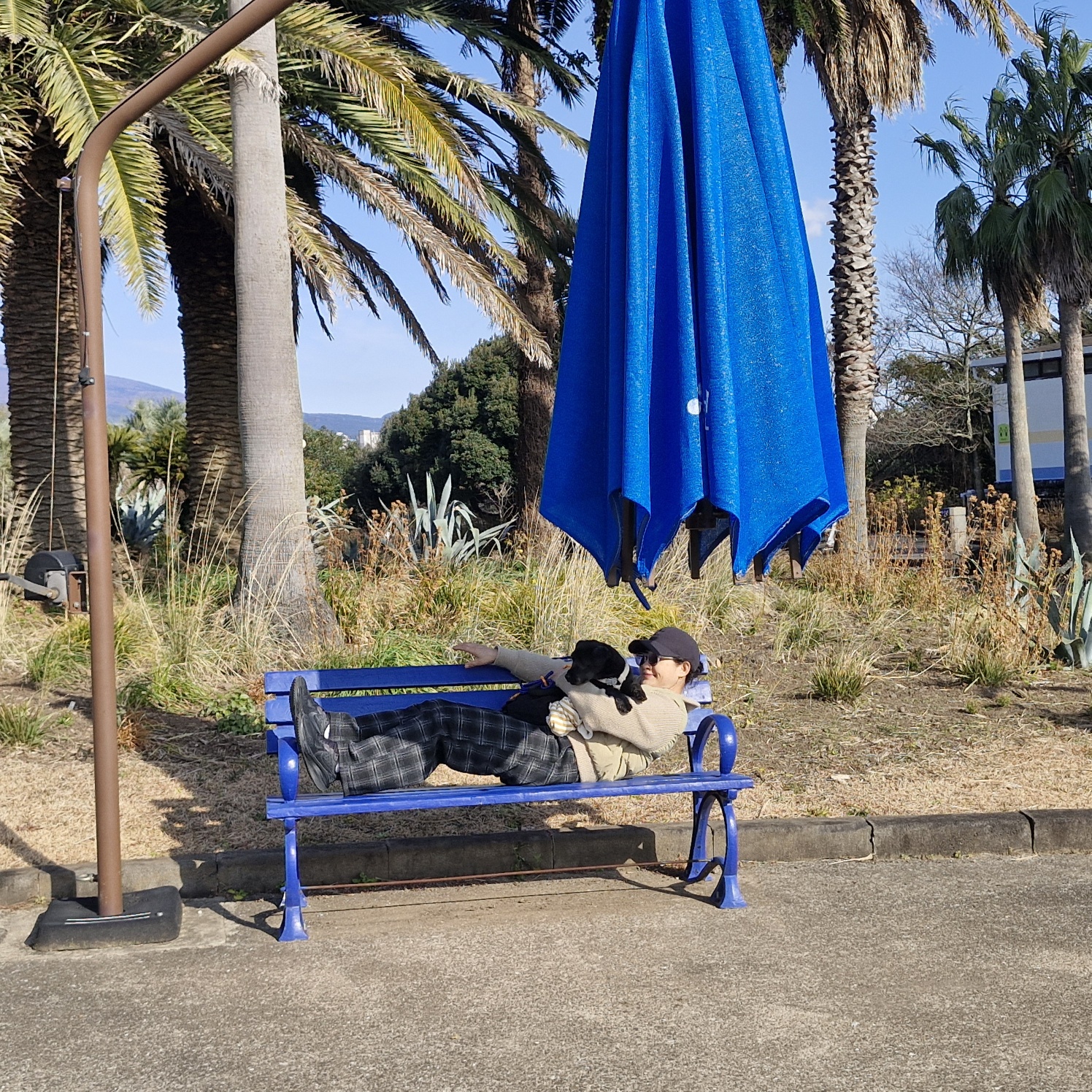 수의사가 알려준 강아지 발톱깎기,귀청소,항문낭 관리법