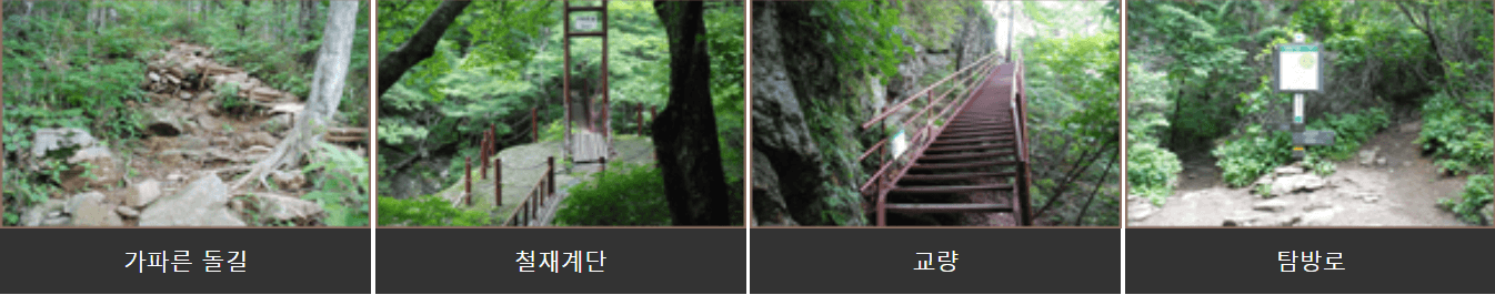 삼홍소~피아골삼거리 구간