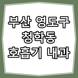 부산시 영도구 청학동 호흡기, 내과 진료 동네 병원