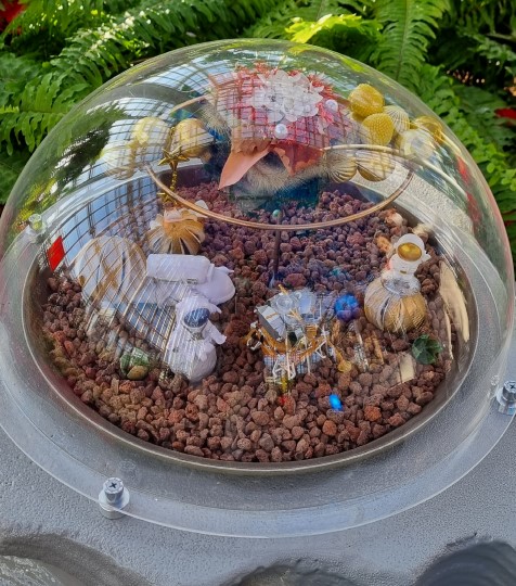 세종 국립 수목원