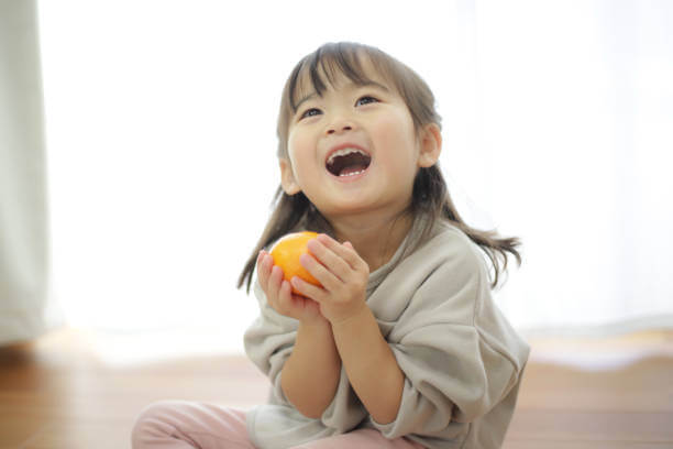 초등학교 사전준비 사항