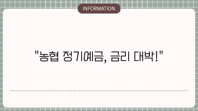 농협 정기예금 금리비교 최신 이자율 정리