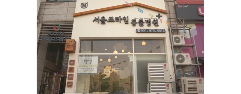 고양 덕양구 동물병원