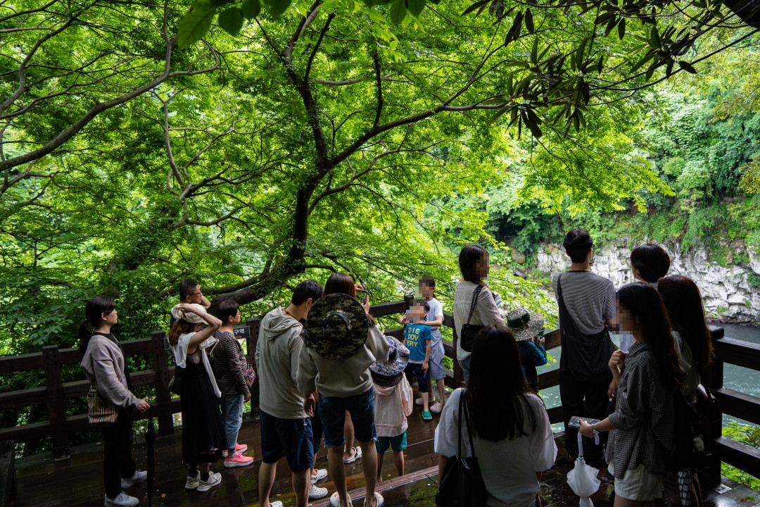 중문 천제연 3폭포 탐방로