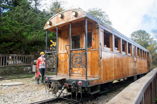 대만 로컬만 아는 밤 문화, 숨은 바 & 라운지