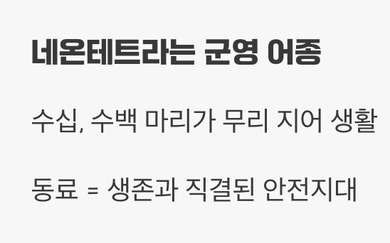 실수 2. '한두 마리'만 외롭게 키우는 것