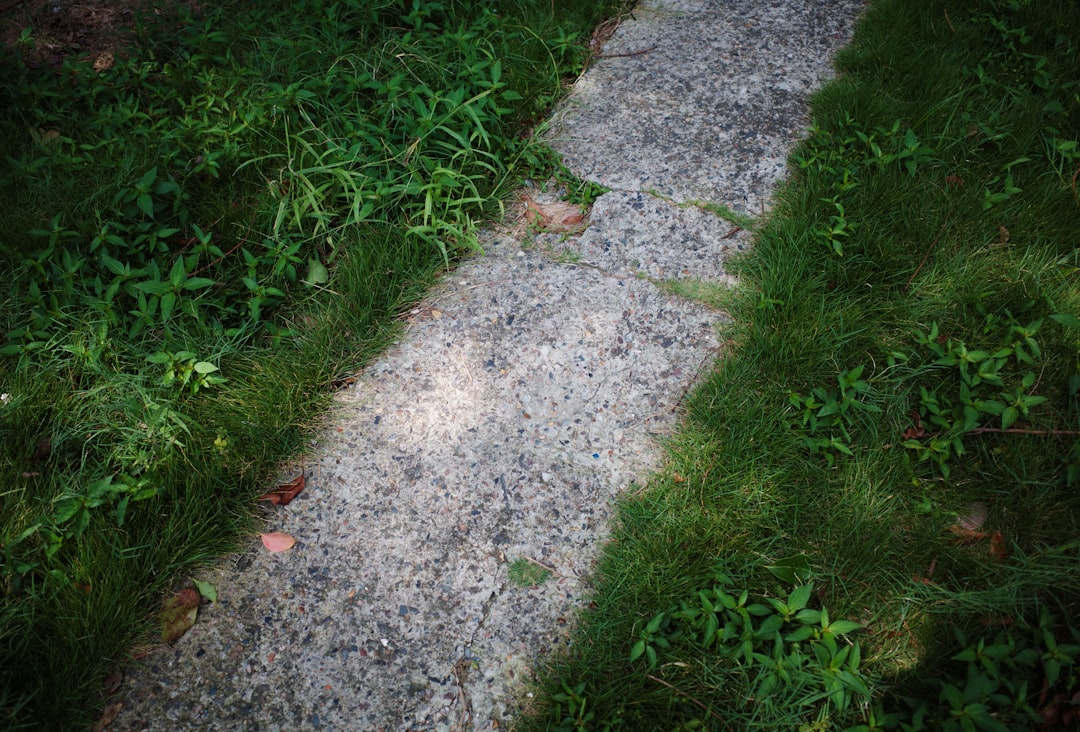 Shortcut.