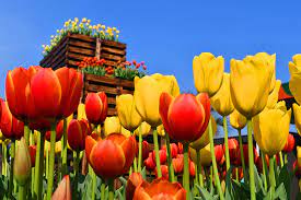 안면도 가볼 만한 곳 BEST 10