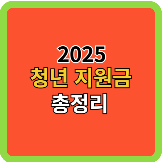2025 청년 지원금 총정리!