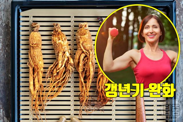 홍삼 효능 갱년기 홍삼 먹으면 안되는 사람 홍삼부작용